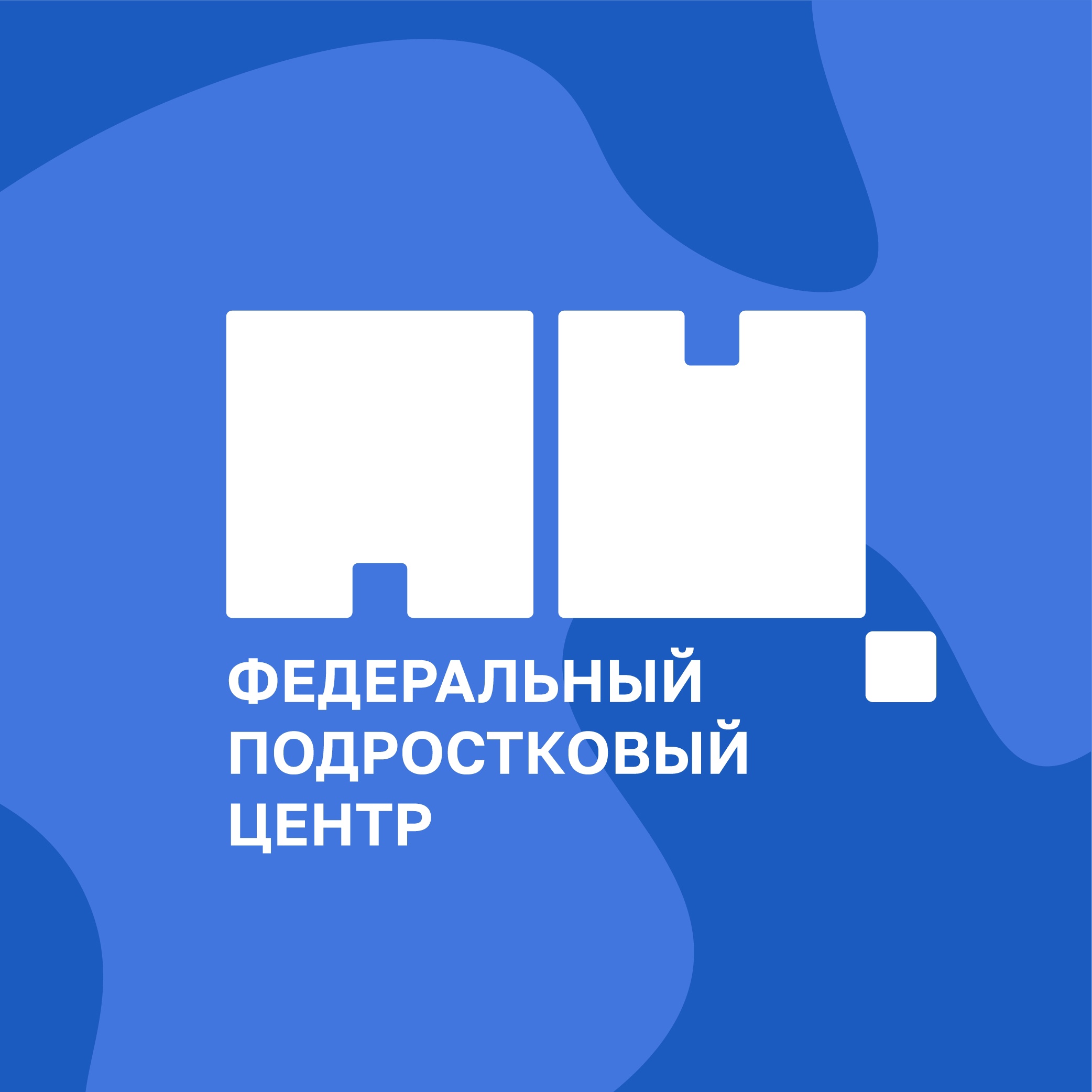 Федеральный подростковый центр
